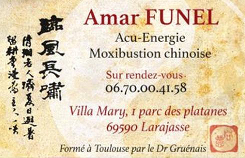 Amar funel cv