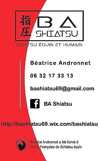 Carte visite ba shiatsu 4000