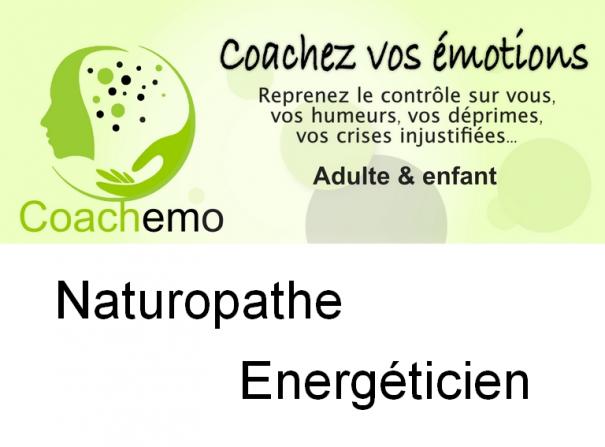 Christophe cozlin cv verso