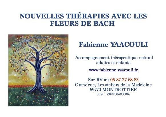 Cv fabienne yaacouli 4000