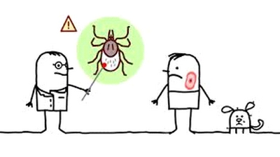 Lyme 1