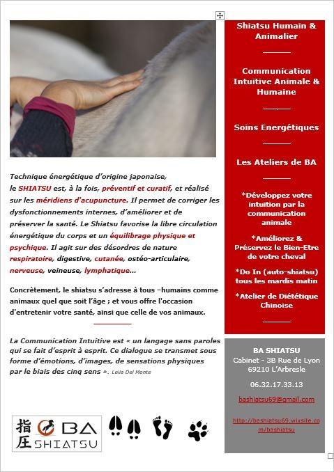 Presentation ba shiatsu 4000