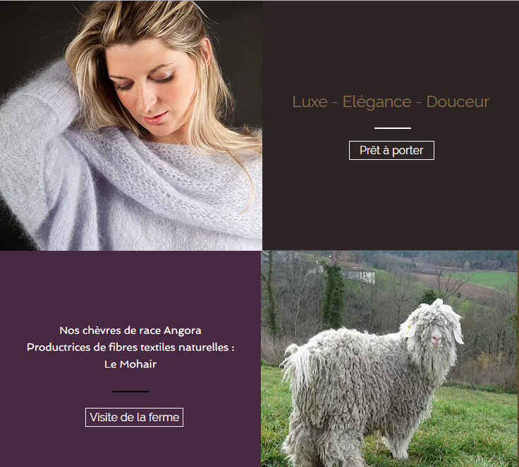 Tendance moheir accueil